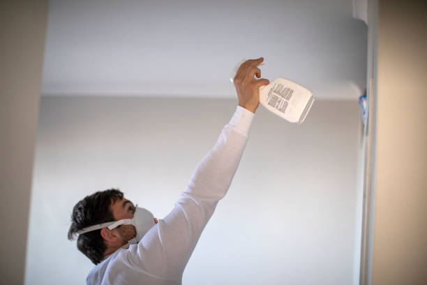 Fairview Ferndale, PA Mold Removal Company