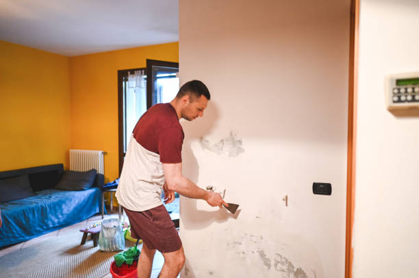 Best Mold Remediation  in Fairview Ferndale, PA